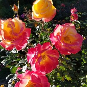 Make an offer on any item!